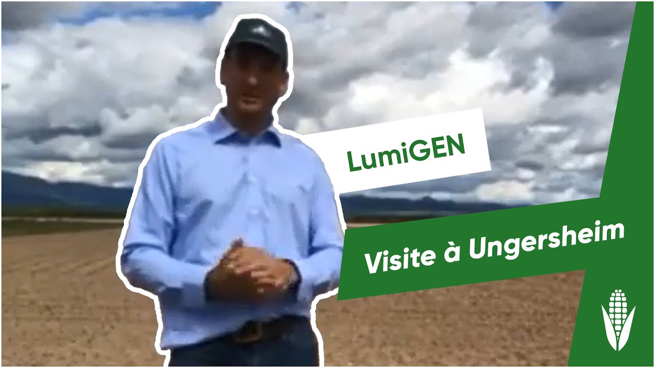 LumiGEN : Visite à Ungersheim