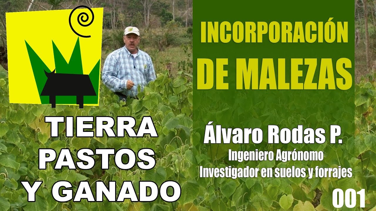 Incorporación de malezas y reducción de uso de herbicidas - Tierra Pastos y Ganado 001