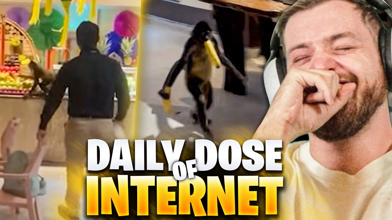 🤯😍Der SMARTESTE AFFE der WELT! - Daily DOSE REAKTION | Trymacs Stream Highlights