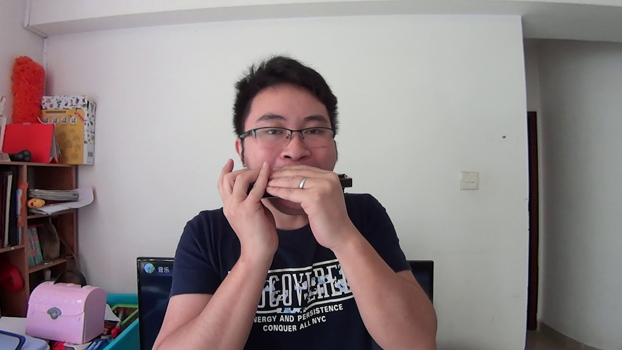 Chromatic Harmonica Solo : Blowing Like Hell-William Clarke Version