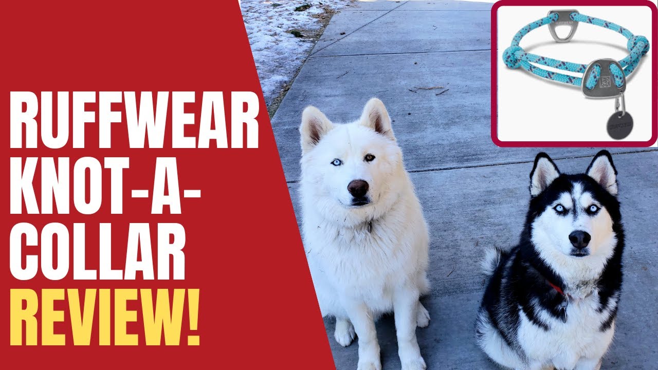 Ruffwear Knot A Collar Review