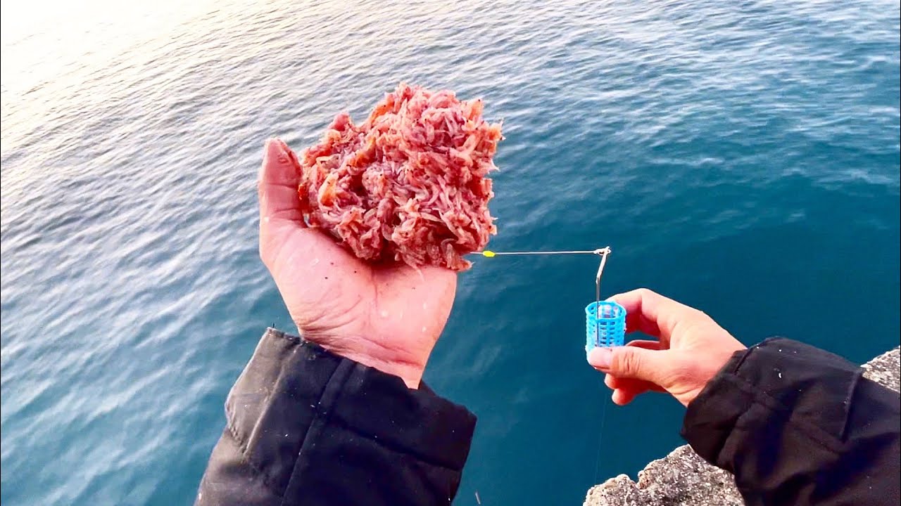 寒い冬を熱くさせる最強の釣り