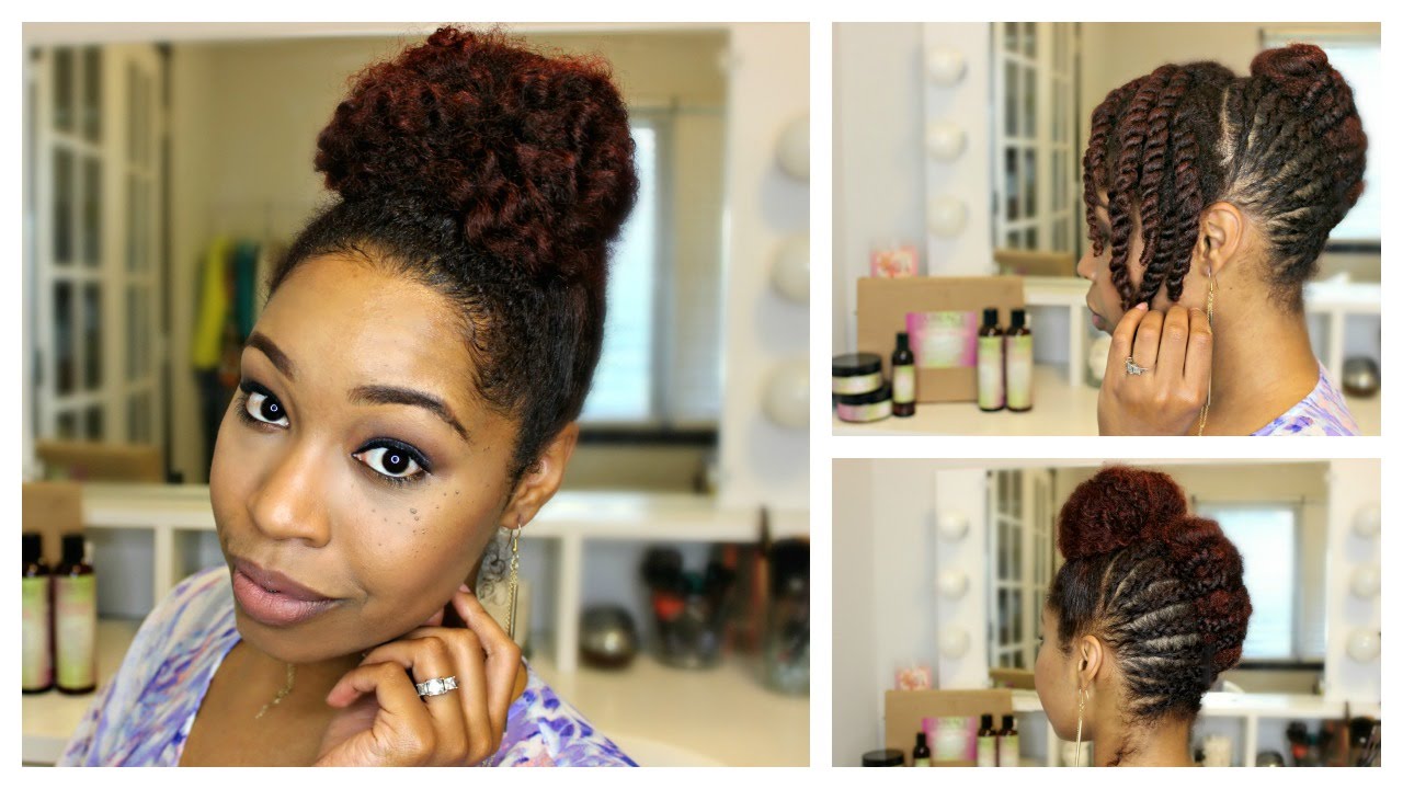 Natural Hair | Braided French Roll Updo feat. Embrace the Natural You