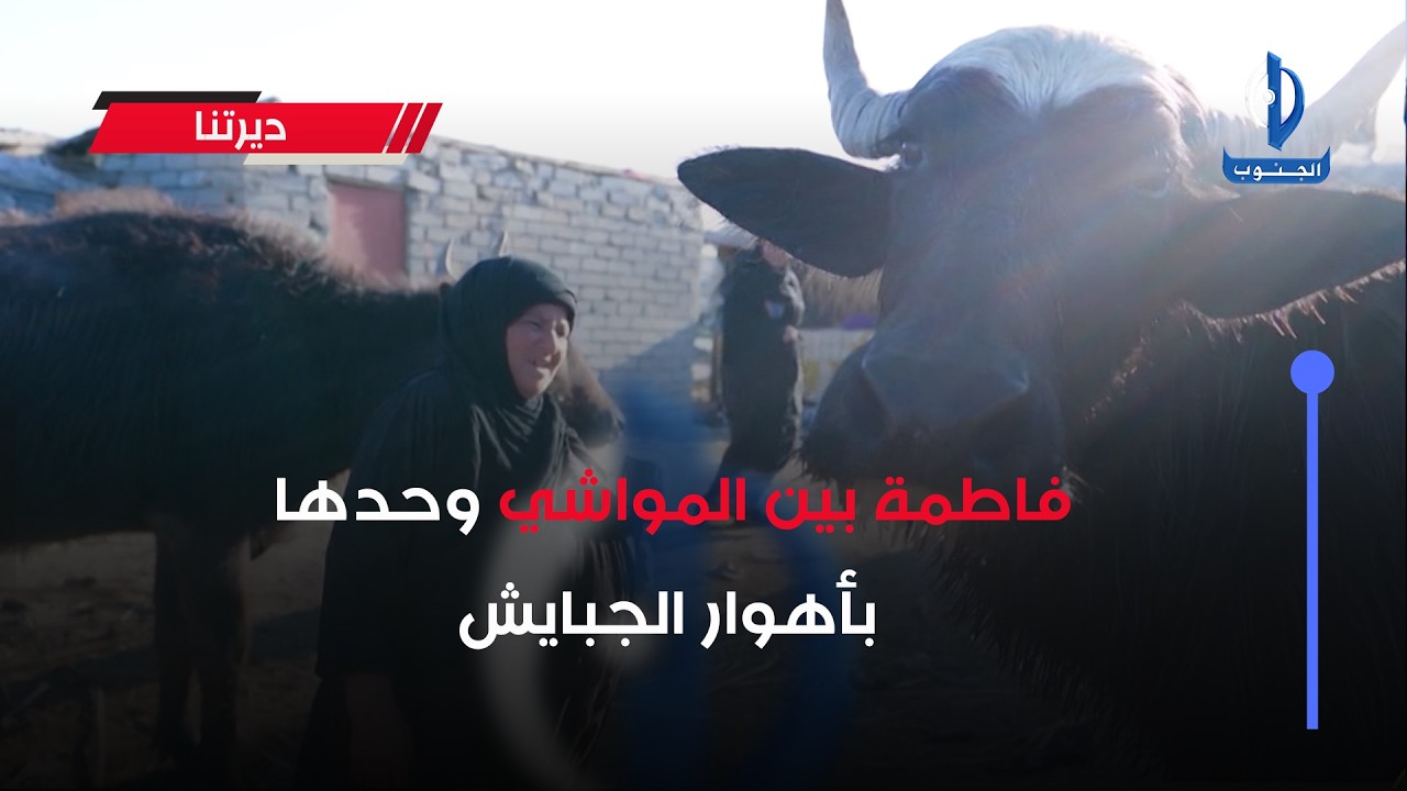 فاطمة بين المواشي وحدها