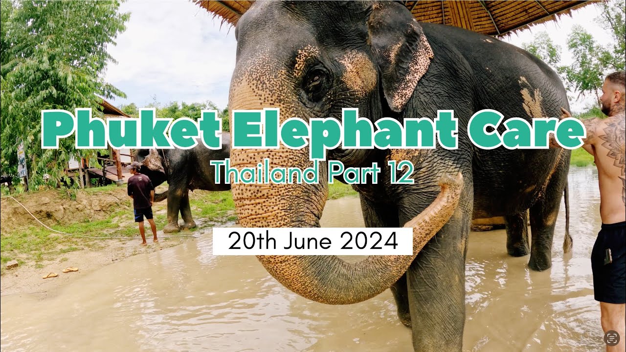 Up Close with Elephants: Our Adventure at Phuket Elephant Care