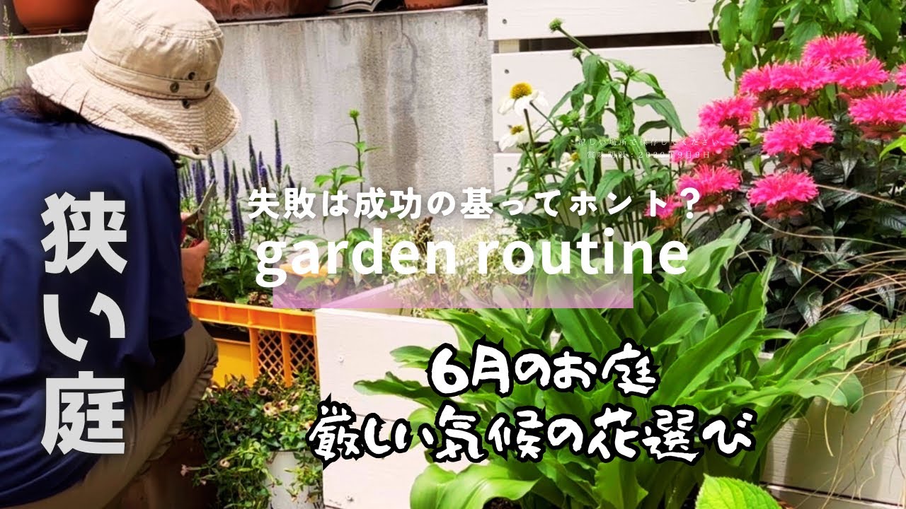 【小さな庭のガーデニング】どうする？長い梅雨、暑過ぎる夏。園芸作業vlog　#ガーデニング #gardening  #pw アンバサダー