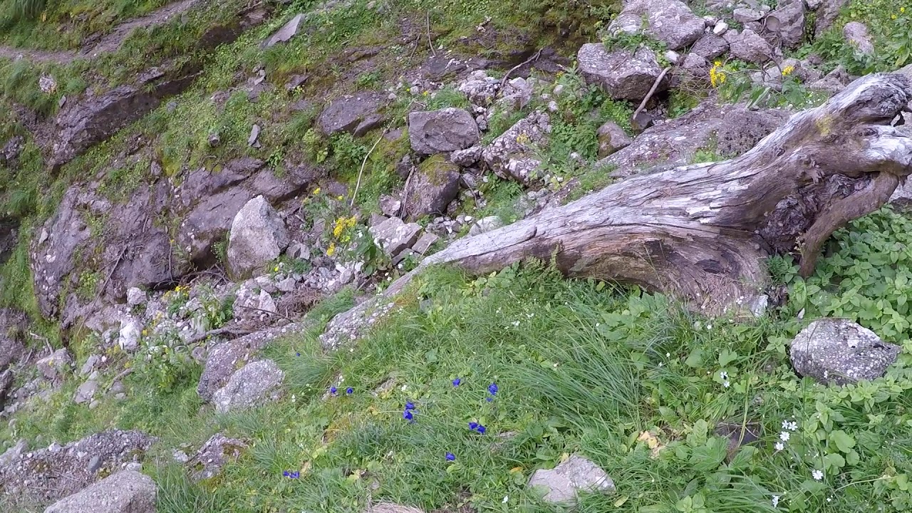 GOPR0 Brâul lui Răducu 02,10,2019
