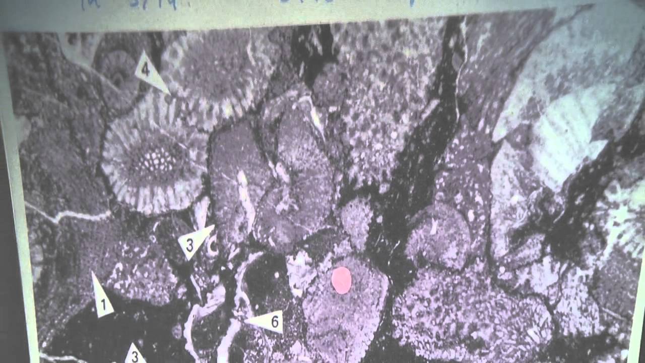 Einf&uuml;hrung in die Geowissenschaften I Exogene Dynamik, sediment&auml;re Gesteine 09