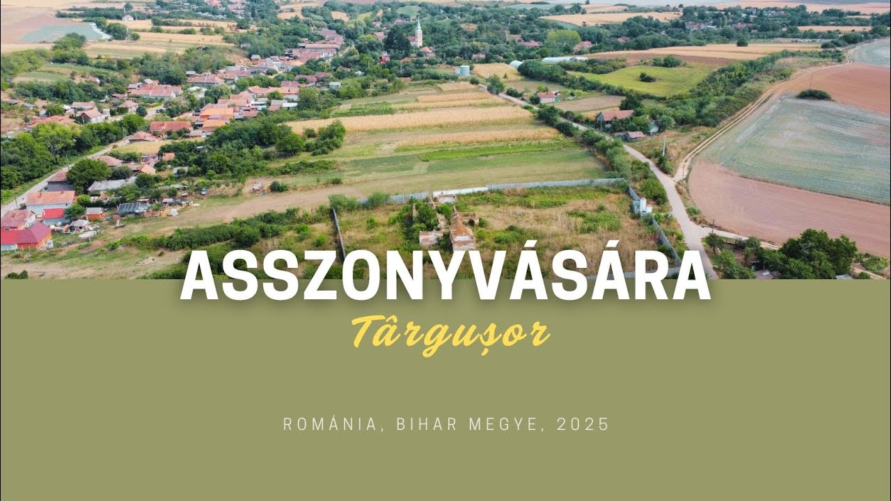 BIHAR : ASSZONYVÁSÁRA / Târgușor, a problémákkal teli kis bihari falucska (258)