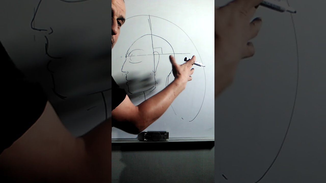 les Angles de coupe   زوايا قصة الشعر