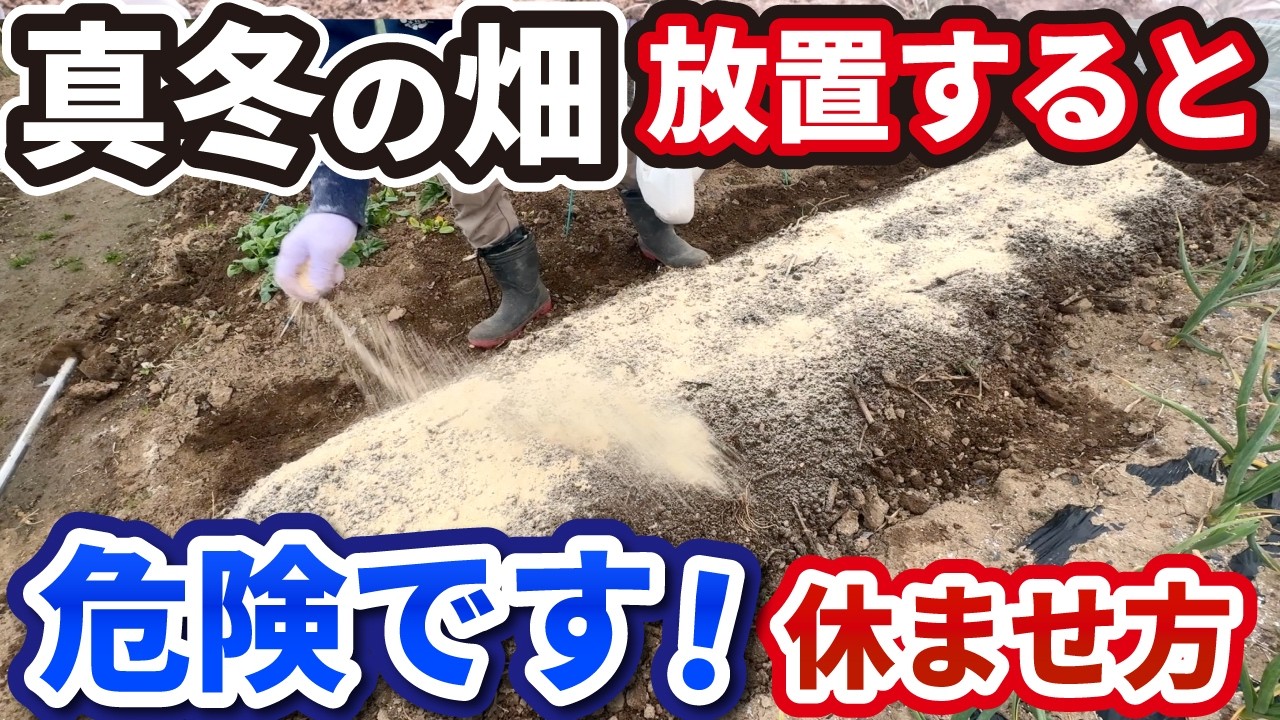 冬に畑を耕すのはNG？土が勝手に良くなる「究極の放置術」と、やってはいけない勘違い3選