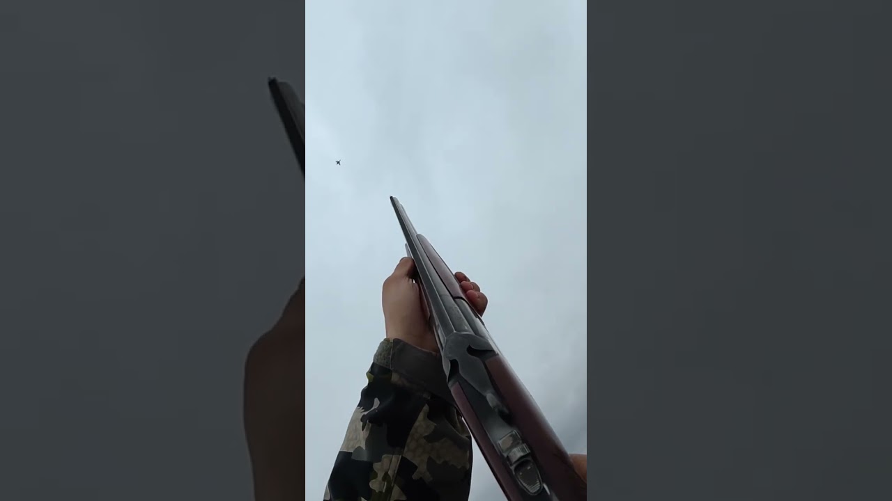 Охота на уток в снегу 