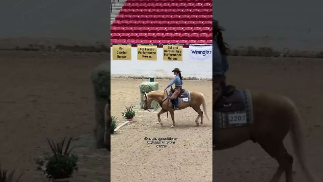 What IS Ranch Trail? #shorts #horseshow #ranch #ranchhorse #ranchtrail #aqha
