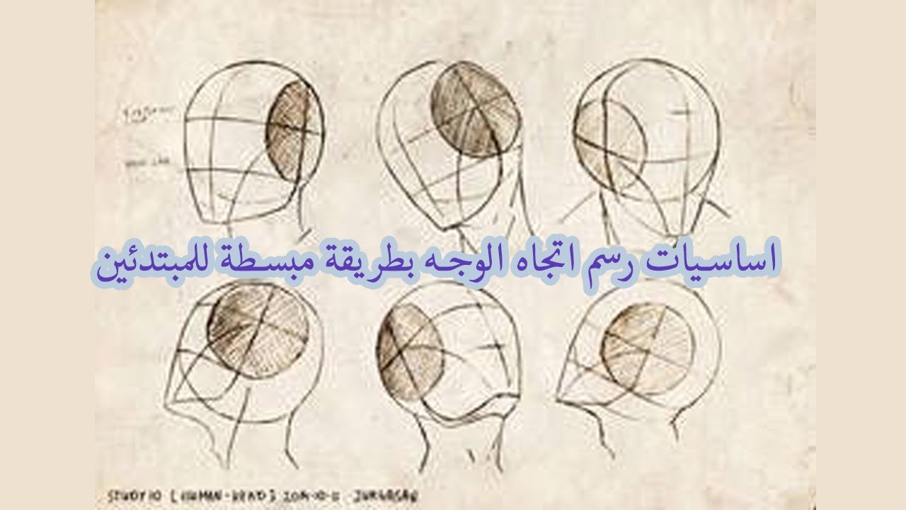 كيف اعرف اتجاه الوجه في الرسم ؟؟