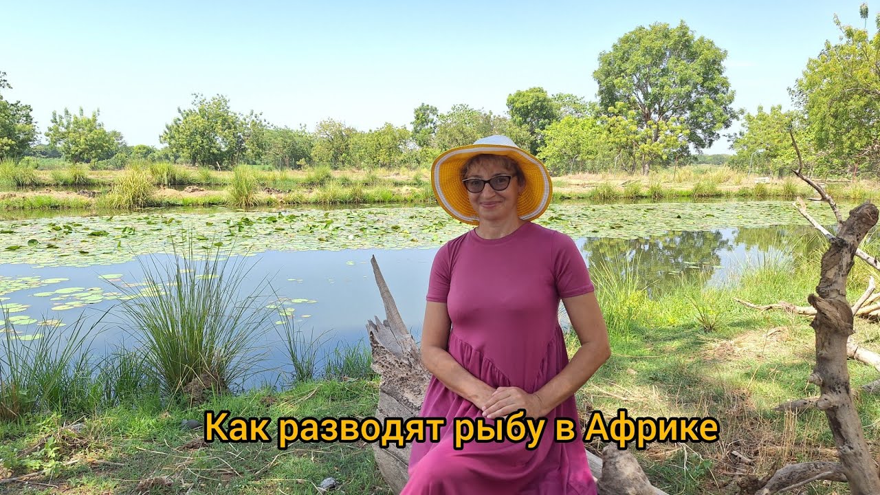 #115 Сын и я на Африканской Рыбной Ферме