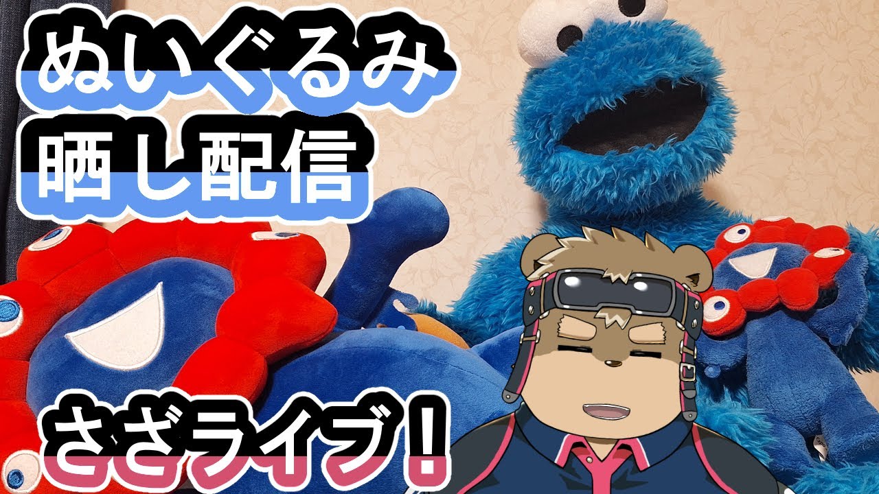 ぬいぐるみの写真を送ってね配信！！！