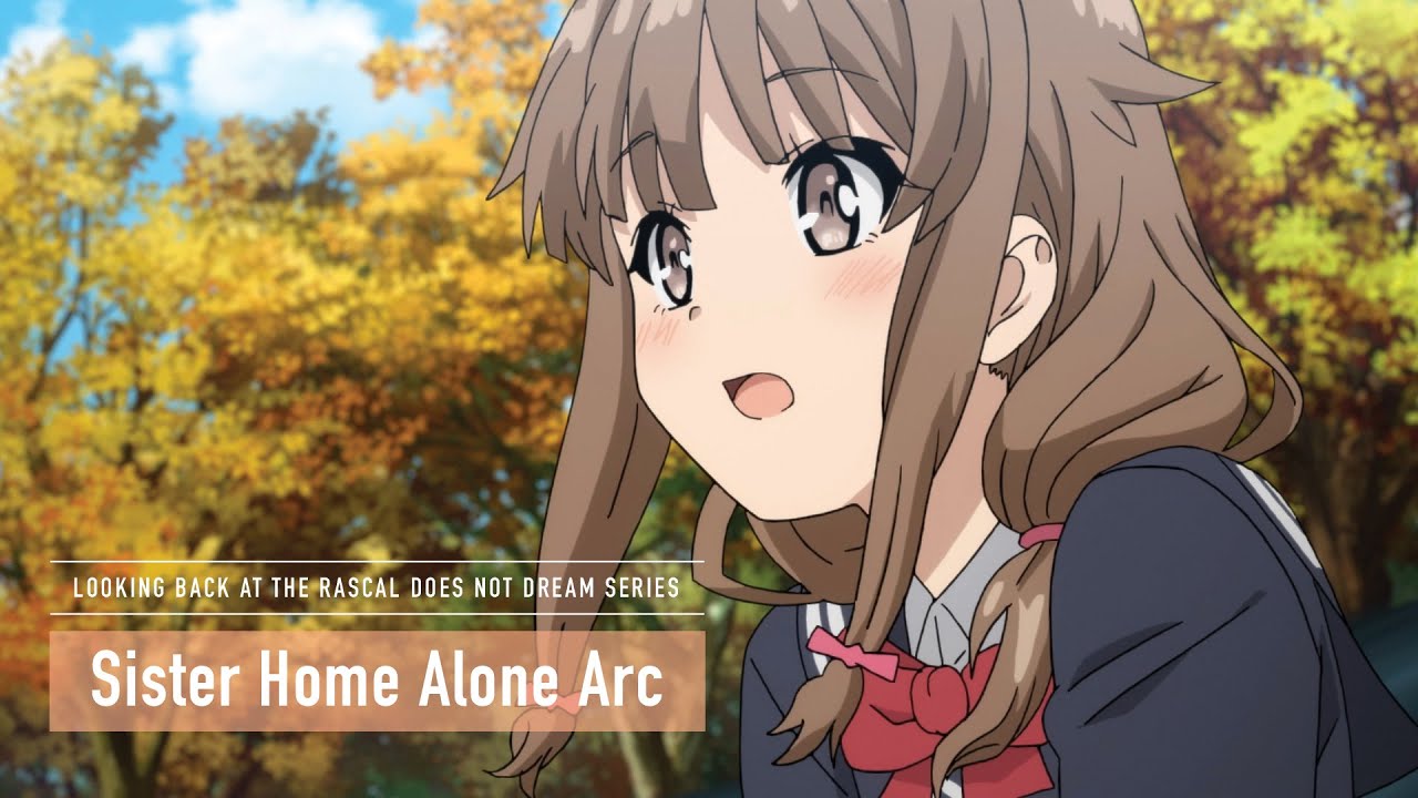 Rascal Does Not Dream Series  |  Sister Home Alone Arc
