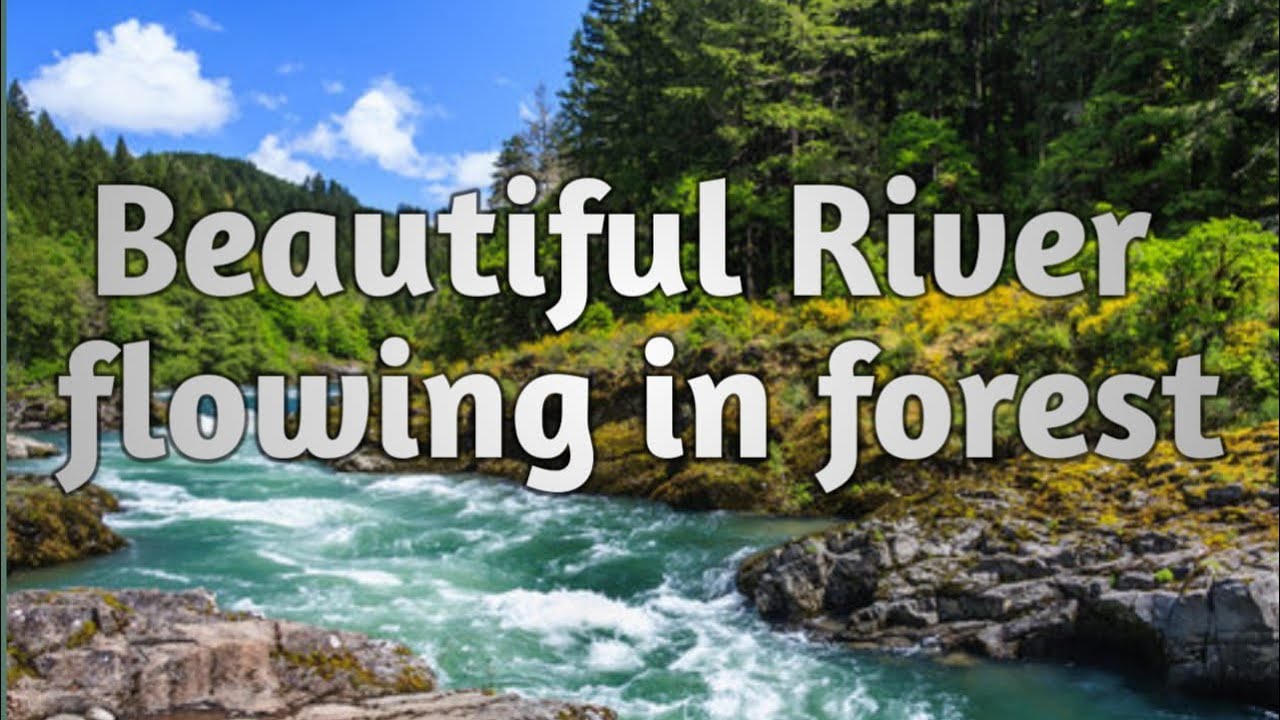 Beautiful River Flowing | Green Forest River | Ultra HD Nature Video | 4K - 1080p | Water Noise
