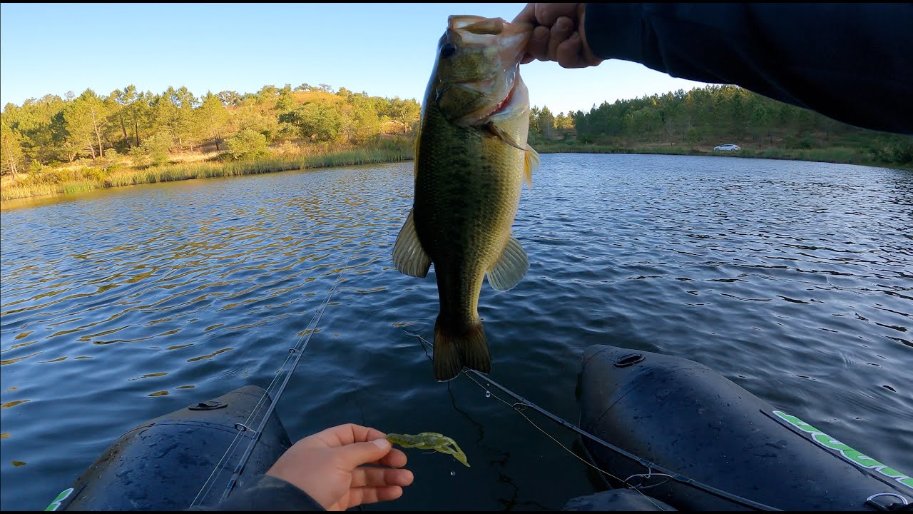 Je peche le bass avec mon float tube motorisé