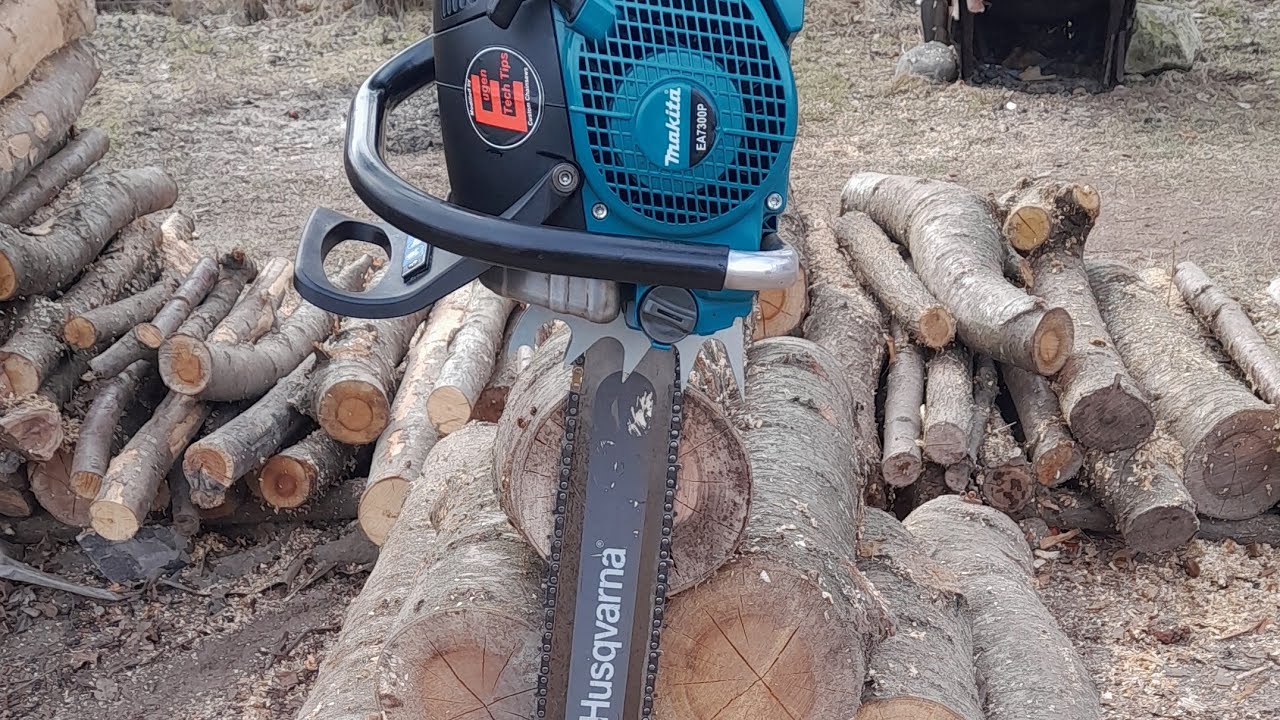 Makita 7300p & șină 60 cm taie cireș uscat.