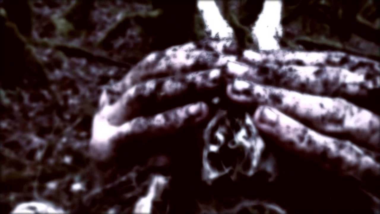 STILLE VOLK - La For&ecirc;t Gorgone (Official Video) | Holy Records