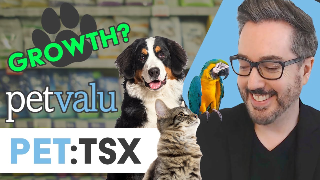 Q4 Results Broken Down: Will Pet Valu Holdings Ltd. (PET:TSX) Run Away in 2025?