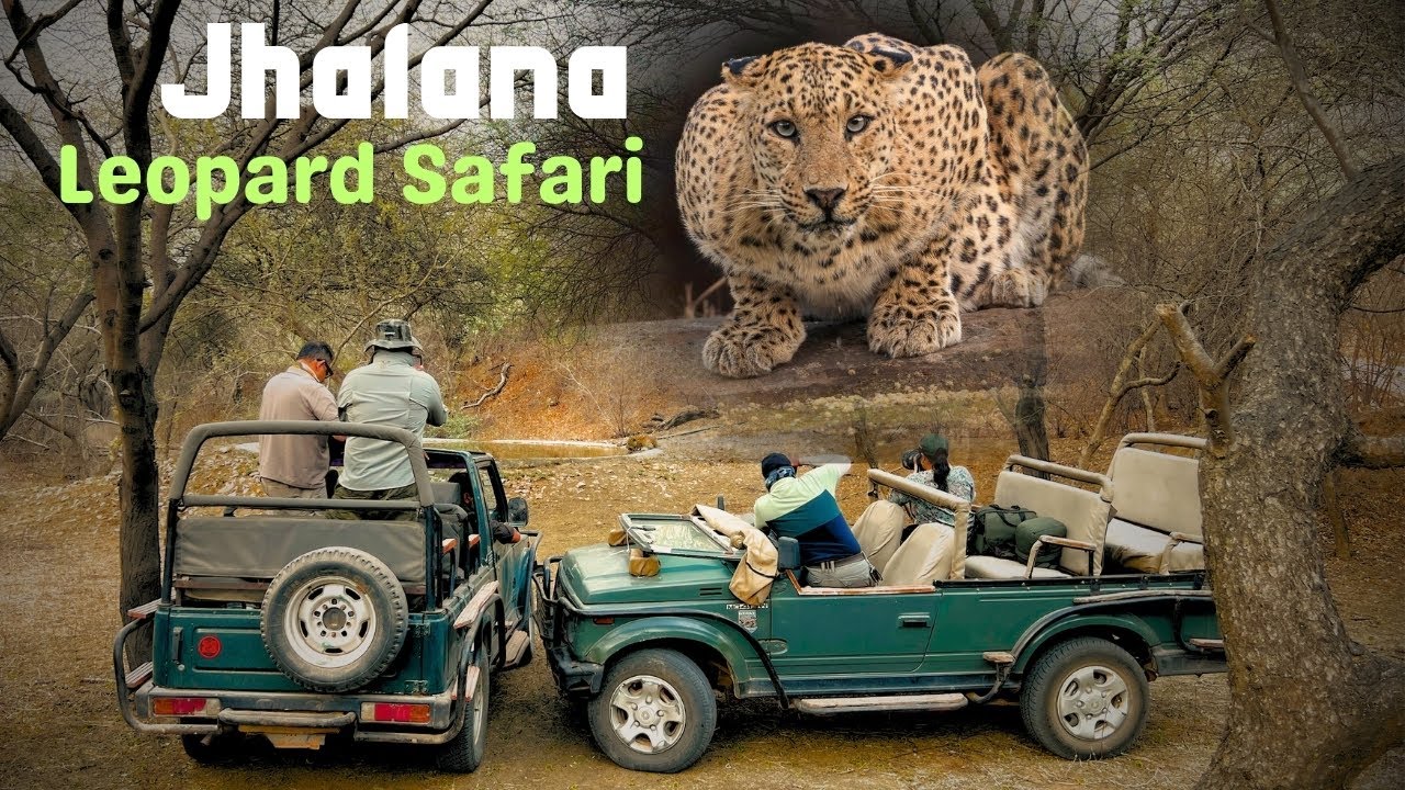 Leopard Safari in Jaipur | Jhalana Leopard Reserve Full Experience | हिन्दी |