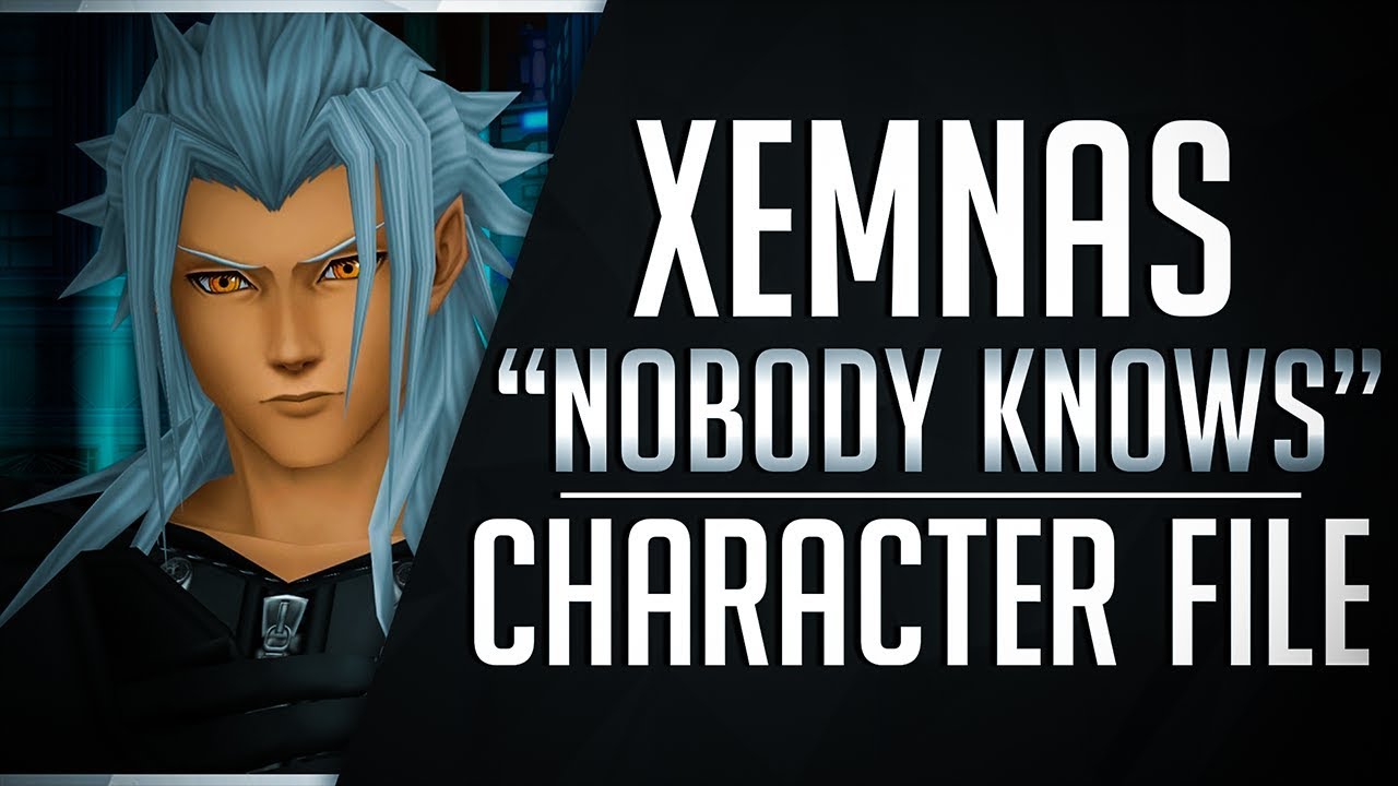 Xemnas Story 