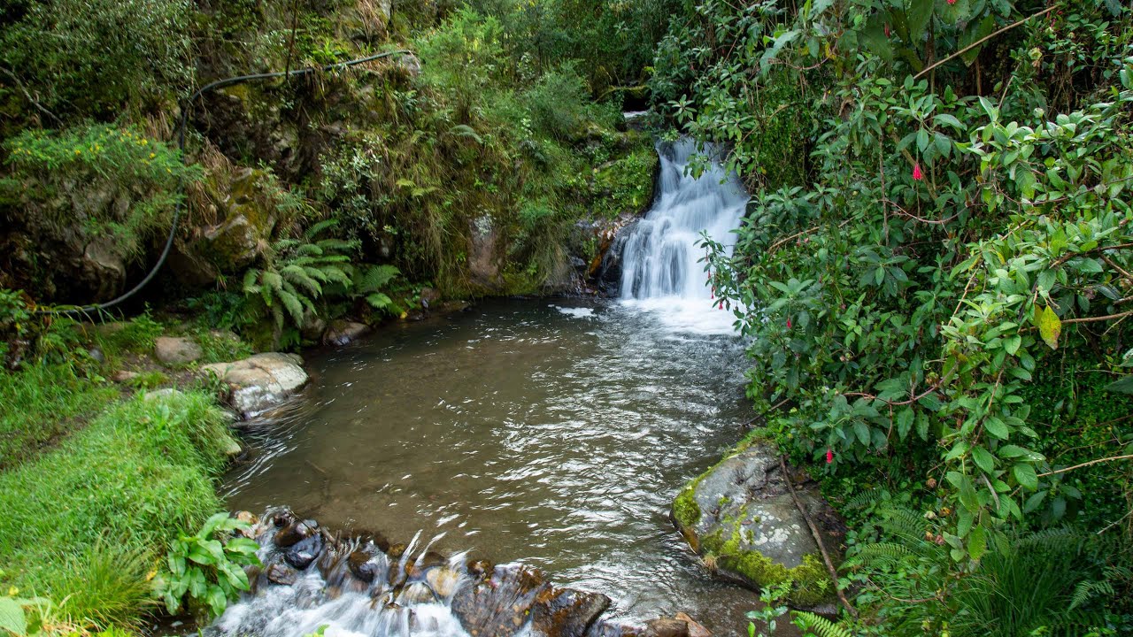 A Deep-Dive into Bogot&aacute;'s Rivers//Production for Discovery Channel
