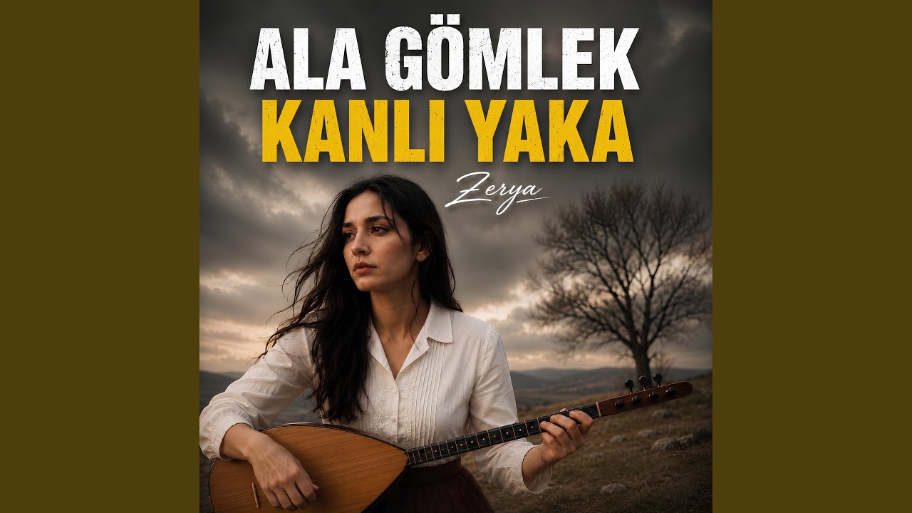 Ala Gömlek Kanlı Yaka