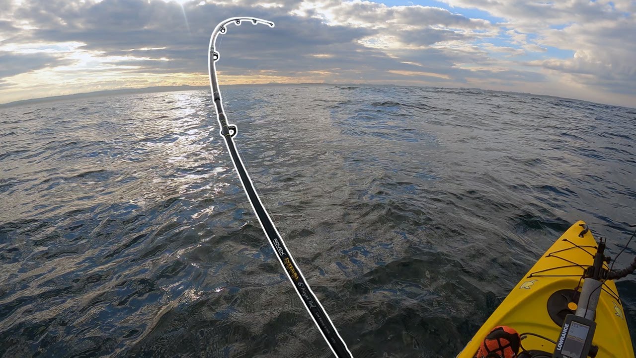 Does Using a Teaser Help Catch More Cod? | Kayak Fishing UK