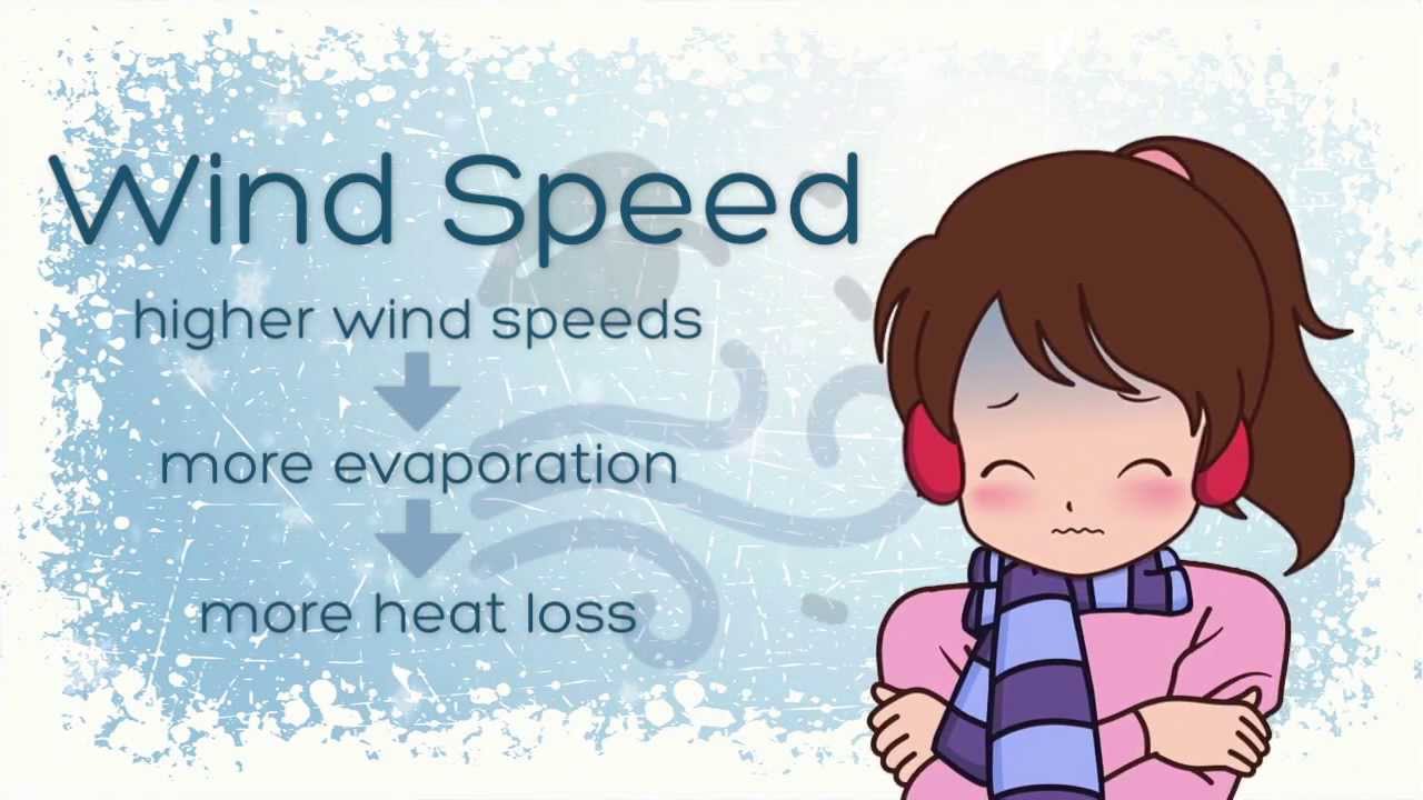 What is the Wind Chill Index?