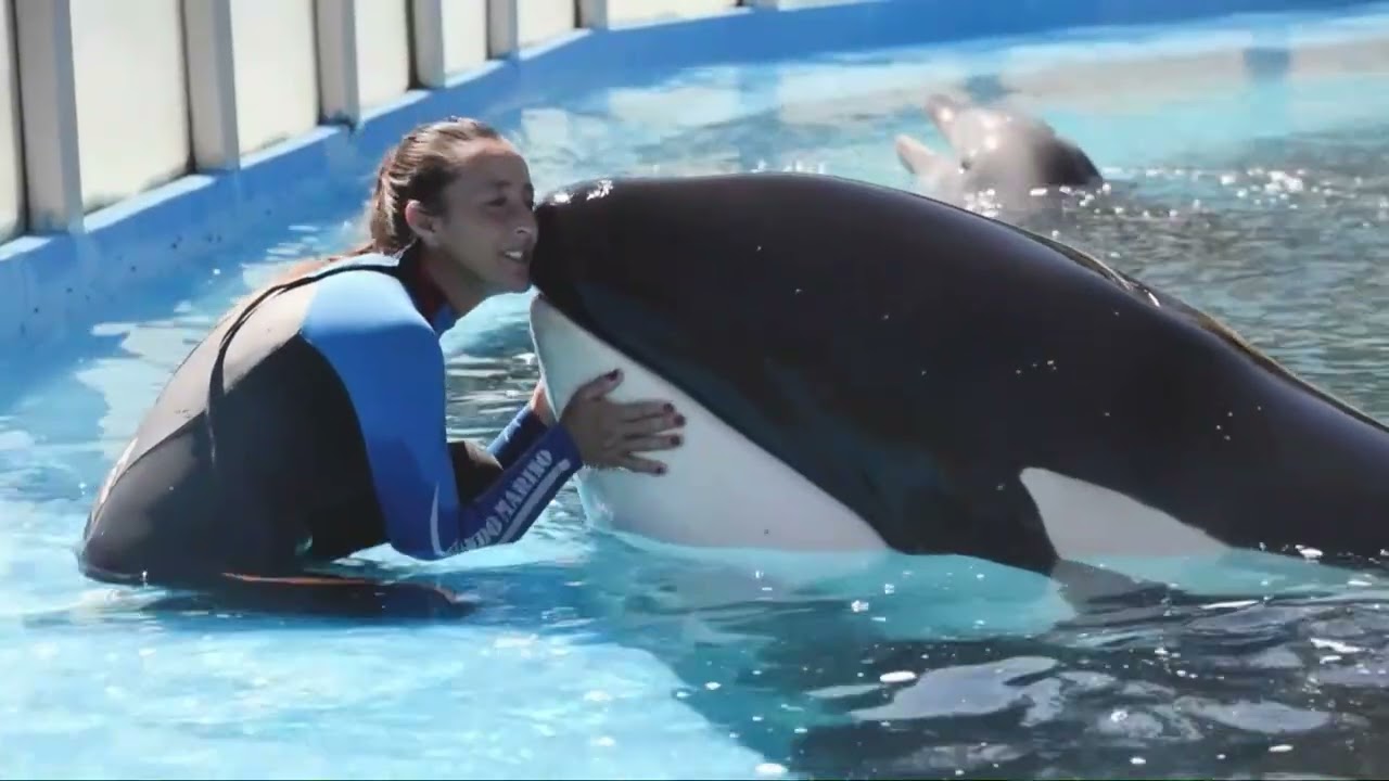 Los RO en Mundo Marino