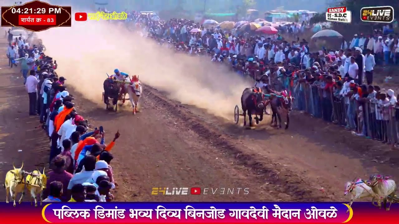 MATHUR & ALIEAN VS SHAHIR & GOVINDA || भव्य बैलगाडा शैर्यत || विश्वनाथ शेठ मुंगाजी यांच्या स्मरणार्थ