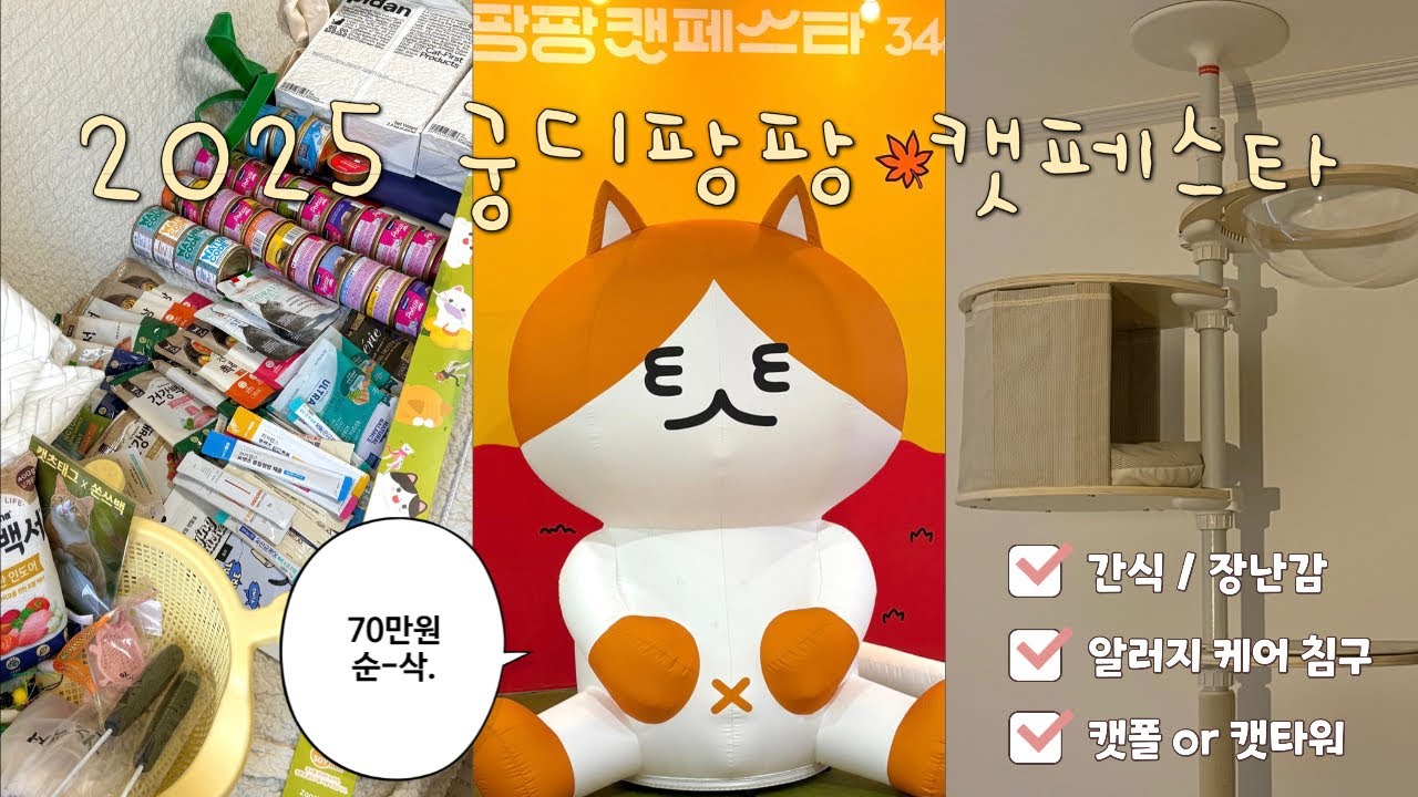 [냥집사 브이로그] 2025 궁디팡팡 캣페스타 in 일산 킨텍스 | 70만원 털리고 온 초보집사 이야기 | 냥피또 내핑하우스 캣방소쿠리 지구별고양이 쥬아펫 