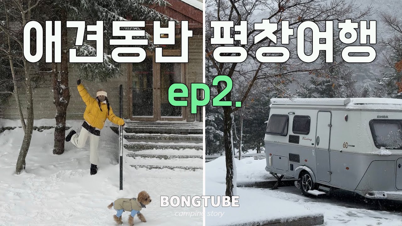 45) 애견동반 스키장이라니🩷 - 강원도평창, 용평리조트, 레인보우슬로프, 웨그빌리지, 에리바투어링530, 애견동반캠핑
