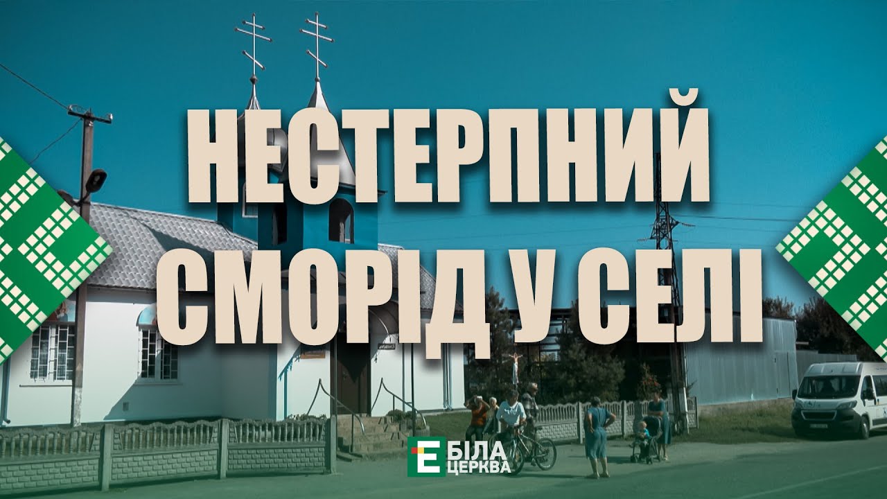 Мешканці села Великополовецьке потерпають від жахливого смороду свиноферм