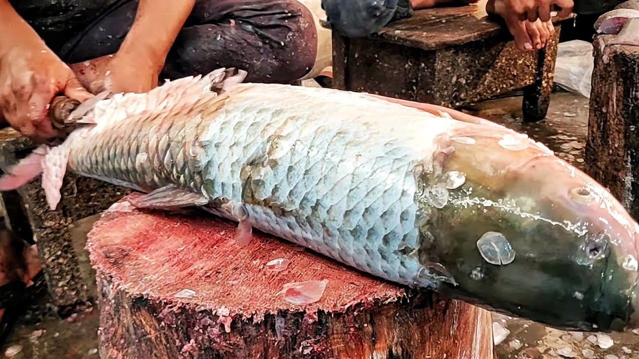 Rui fish cutting video ll Bd fishing life   ll new video 2021