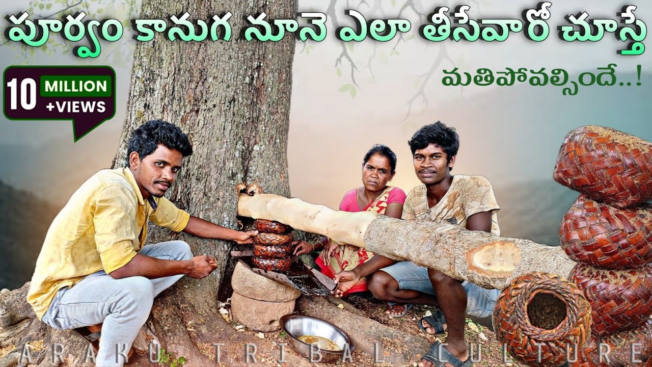 మన పూర్వీకులు కానుగ నూనె ఇలానే తీసేవారు - అద్భుతం కదా | Kanuga Nune | Karanja | Araku Tribes