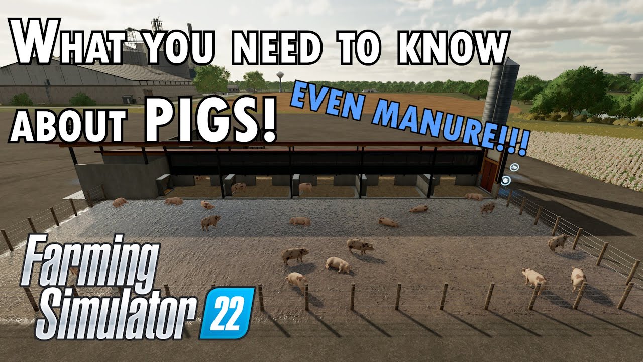 What you need to know about Pigs in Farming Simulator 22