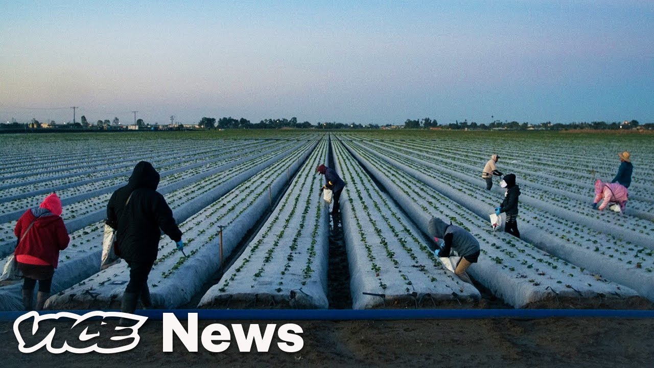 California's Burning, and Farmworkers Are Still in the Fields