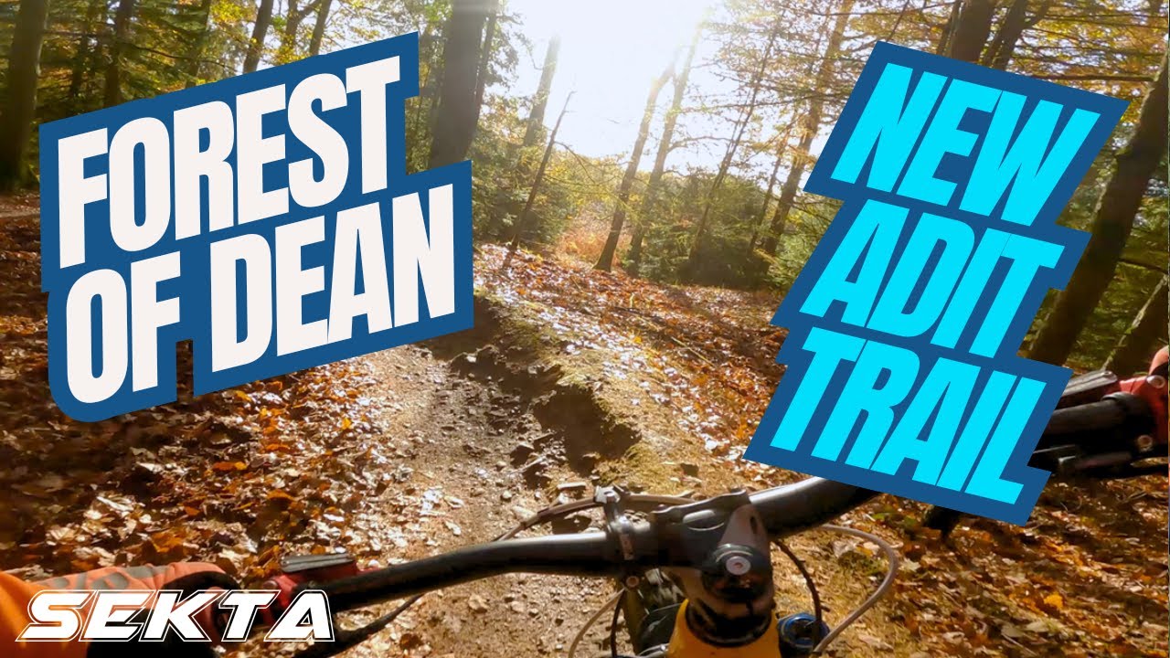 FOD MTB💥NEW Adit trail (Nukeproof Scout Forest of Dean)
