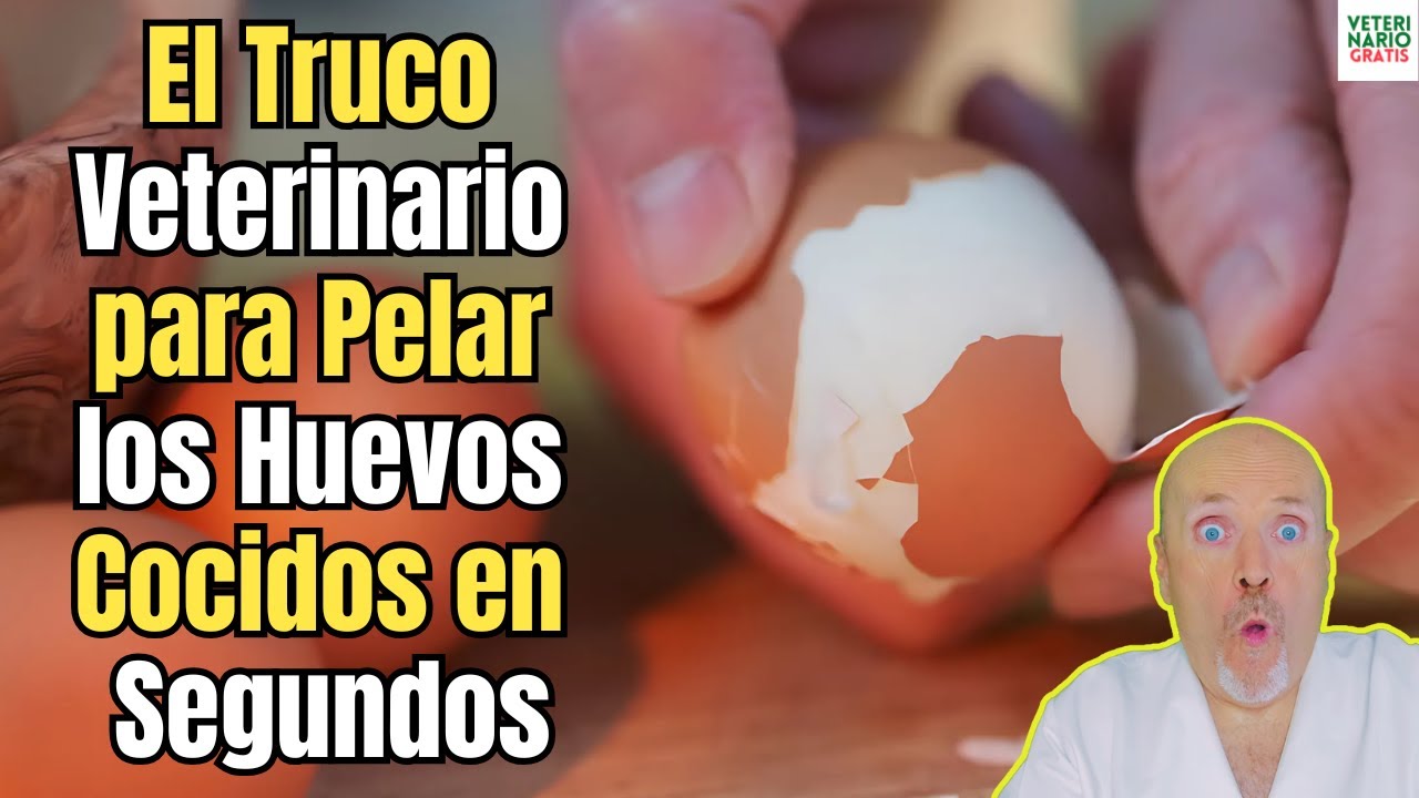 🥚🚀 ¿CÓMO PELAR UN HUEVO COCIDO DURO EN 3 SEGUNDOS CON ESTE TRUCO VETERINARIO? ¡INCREÍBLE! 🤯