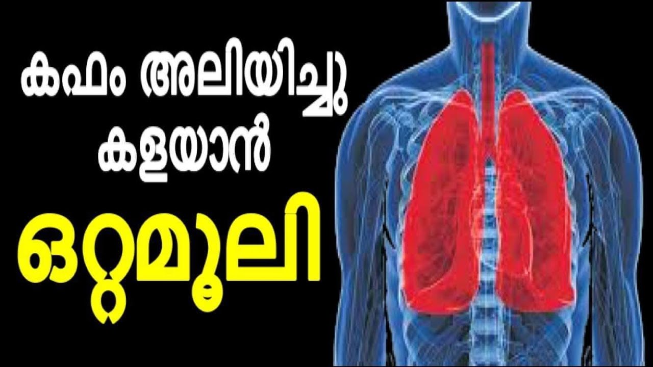 കഫക്കെട്ടിന്റെ അടിവേരിളക്കുന്ന ഒറ്റമൂലി | powerfull home remedy for cough and cold | home remedy