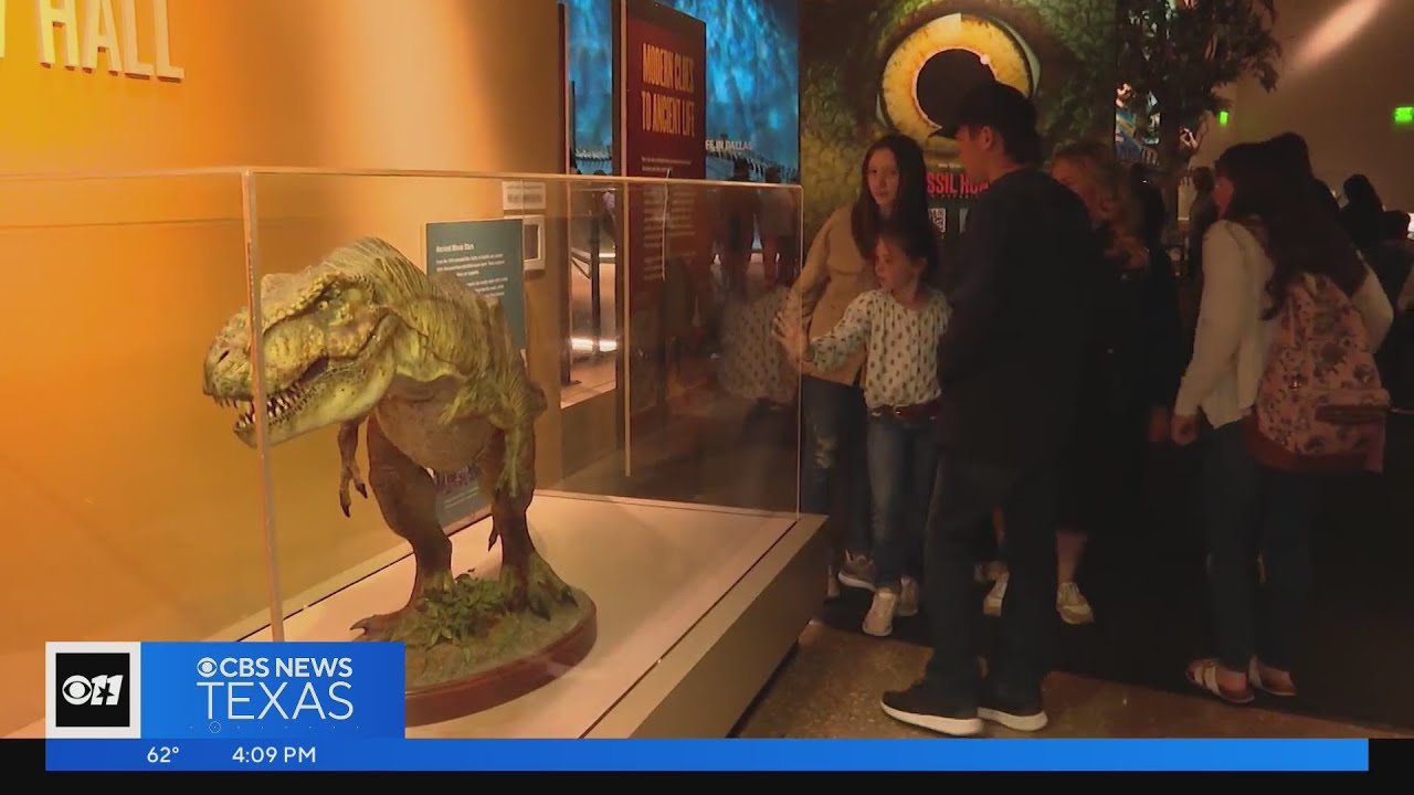 Spring breakers visit the Perot Museum