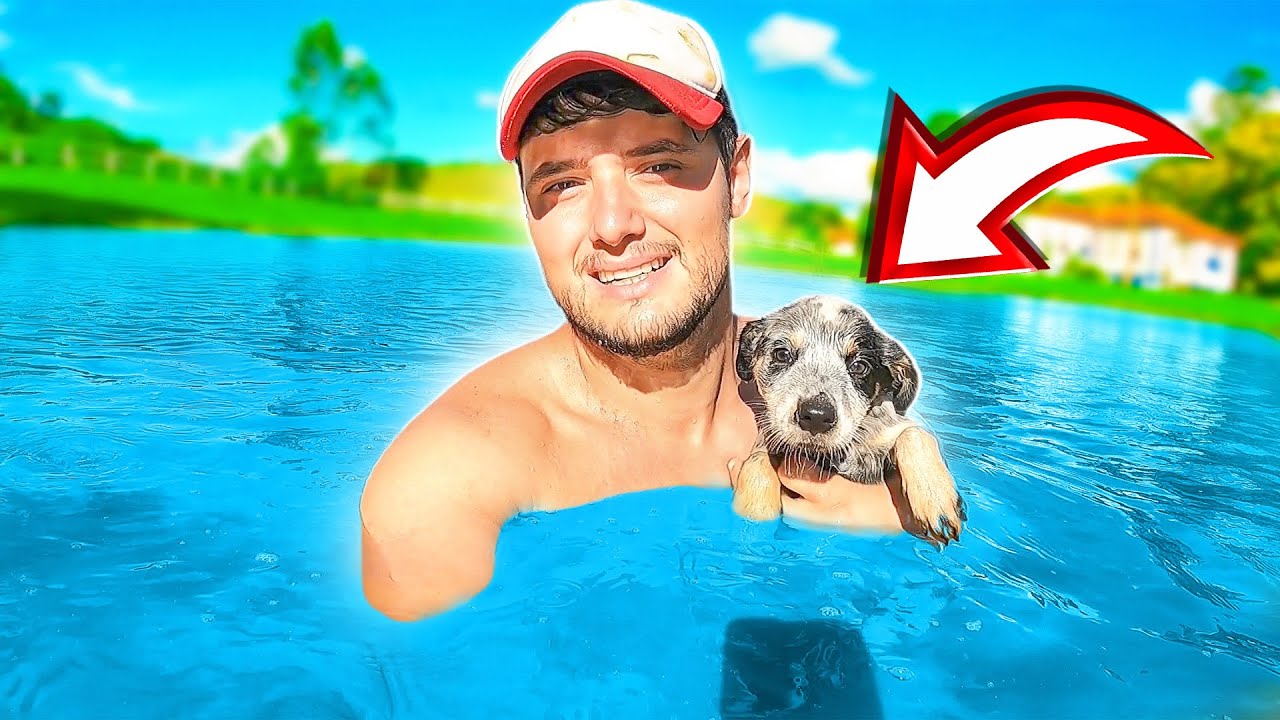 ENSINANDO o meu CACHORRO a NADAR