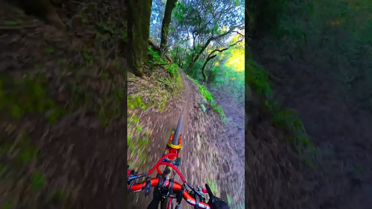 Accidente de mtb nadie estamos exentos😱 en Pleasanton Ridge#mtb 🫡👌🏻🤜🏻💥🤛🏻