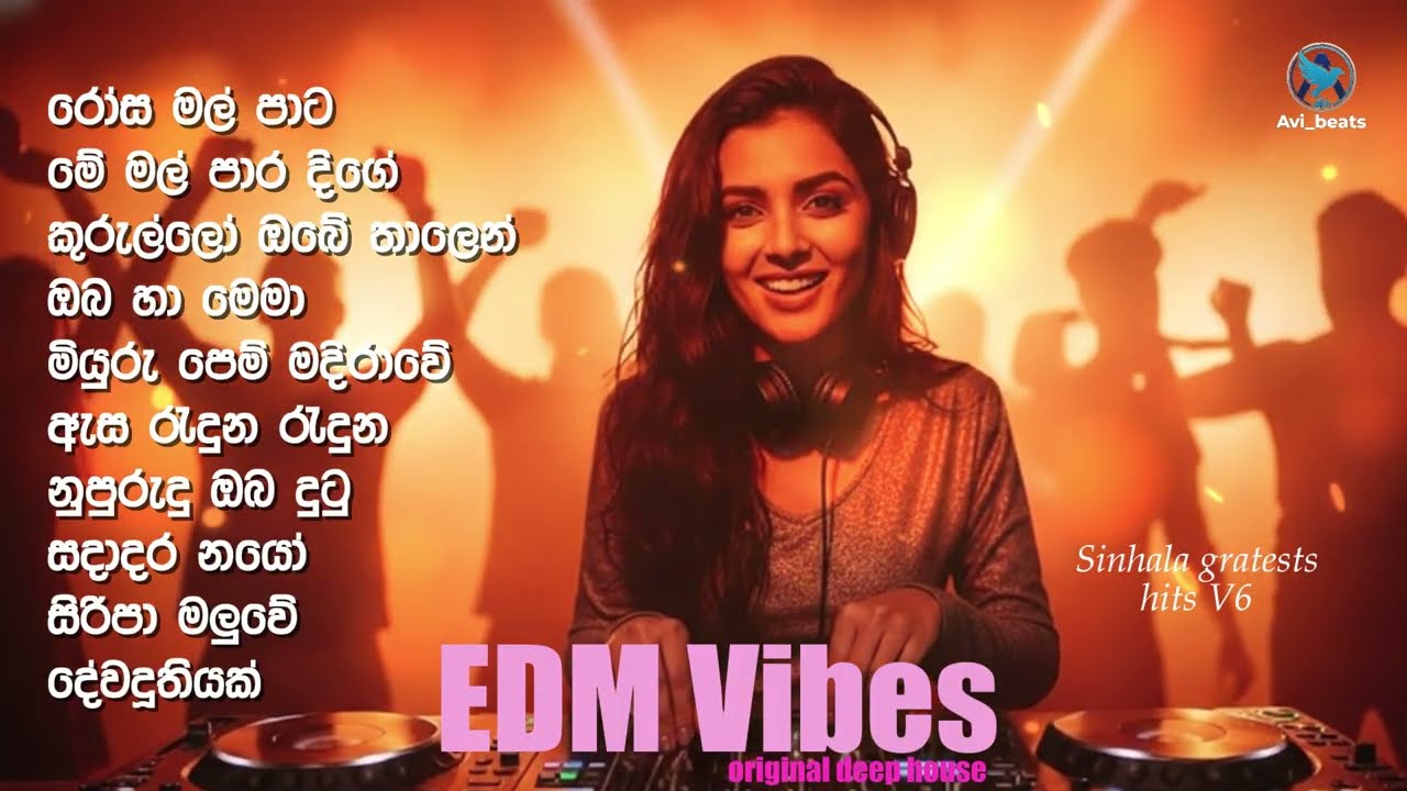 Sinhala EDM Mixtape 6 top 10 | Avi beats