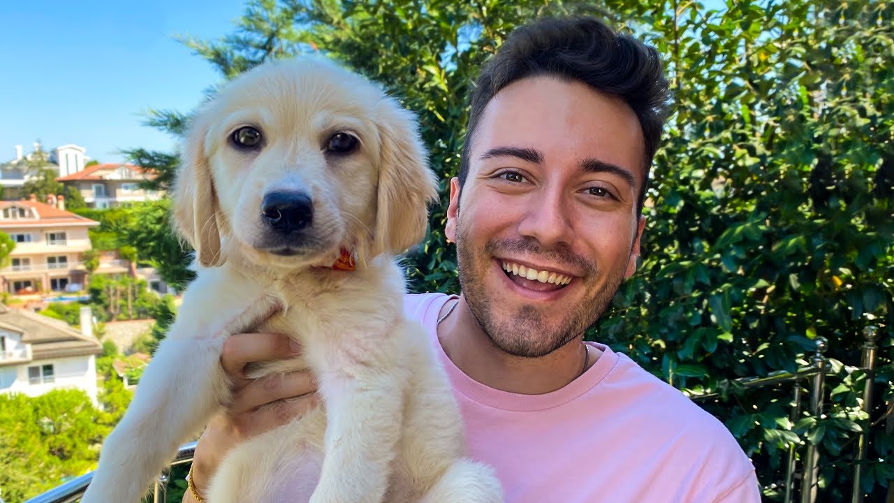Dünyanın En Arkadaş Canlısı Köpeği 