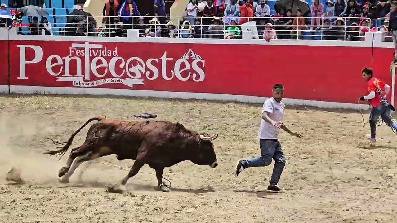 Gran Tarde Taurina en Huancavelica 2025 ¡Impactante COgida de Toro!